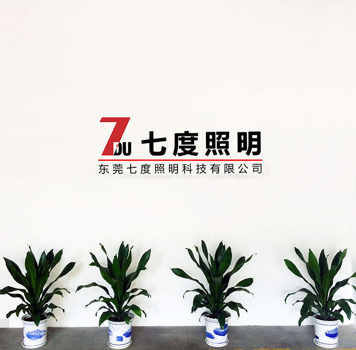 東莞蝴蝶视频污下载照明前台LOGO