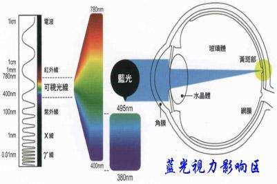 藍光對眼睛視力影響示意圖